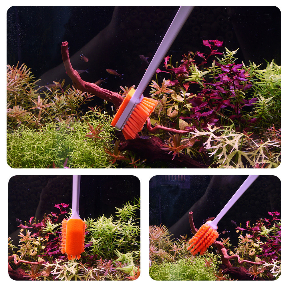 QANVEE Aquarium MK3 Fish Tank  - Planted Aquarium Algae avis et prix