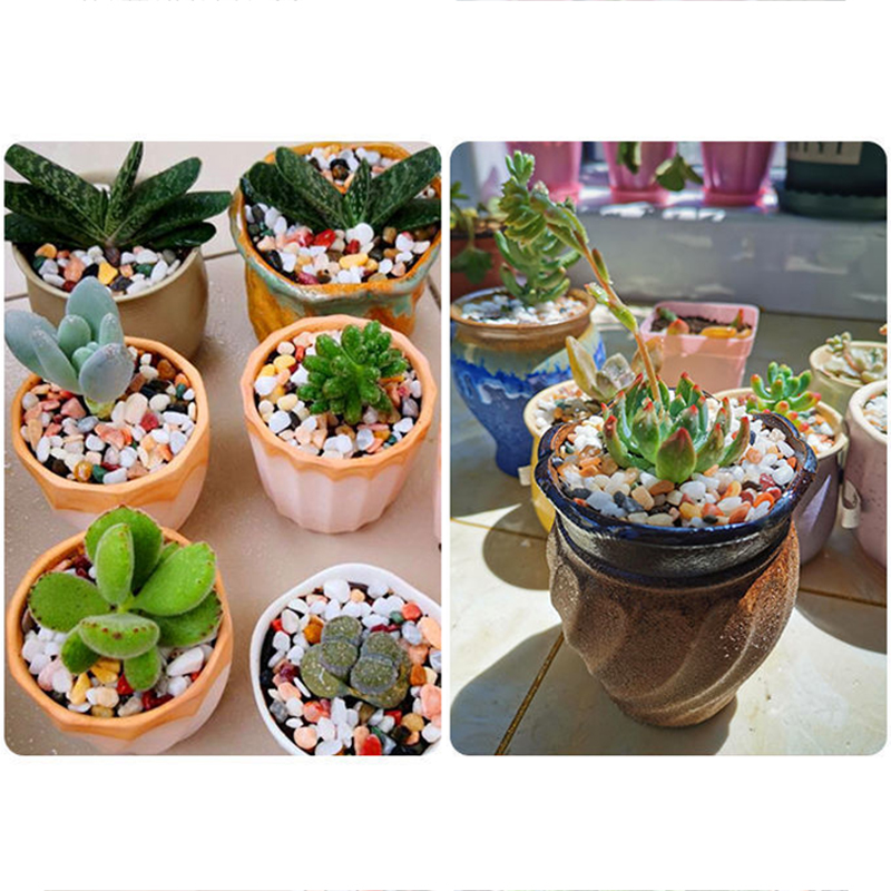 Fish Tank Bottom Sand DIY Acce - Planted Aquarium With Sand avis et prix