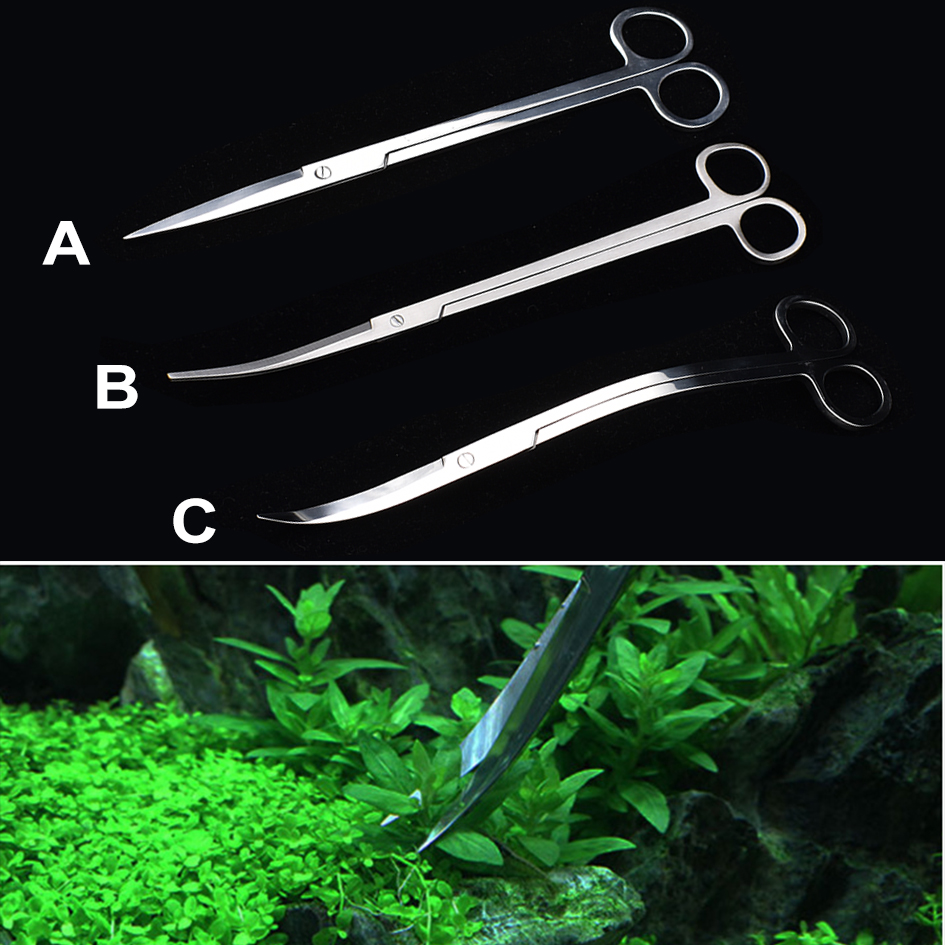 25cm Stainless Steel Aquarium  - Planted Aquarium Algae avis et prix