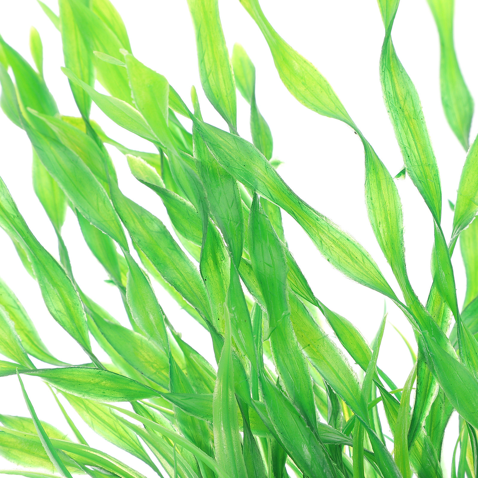2Pcs Premium Fake Aquatic Plan - Non Planted Aquarium Fish avis et prix