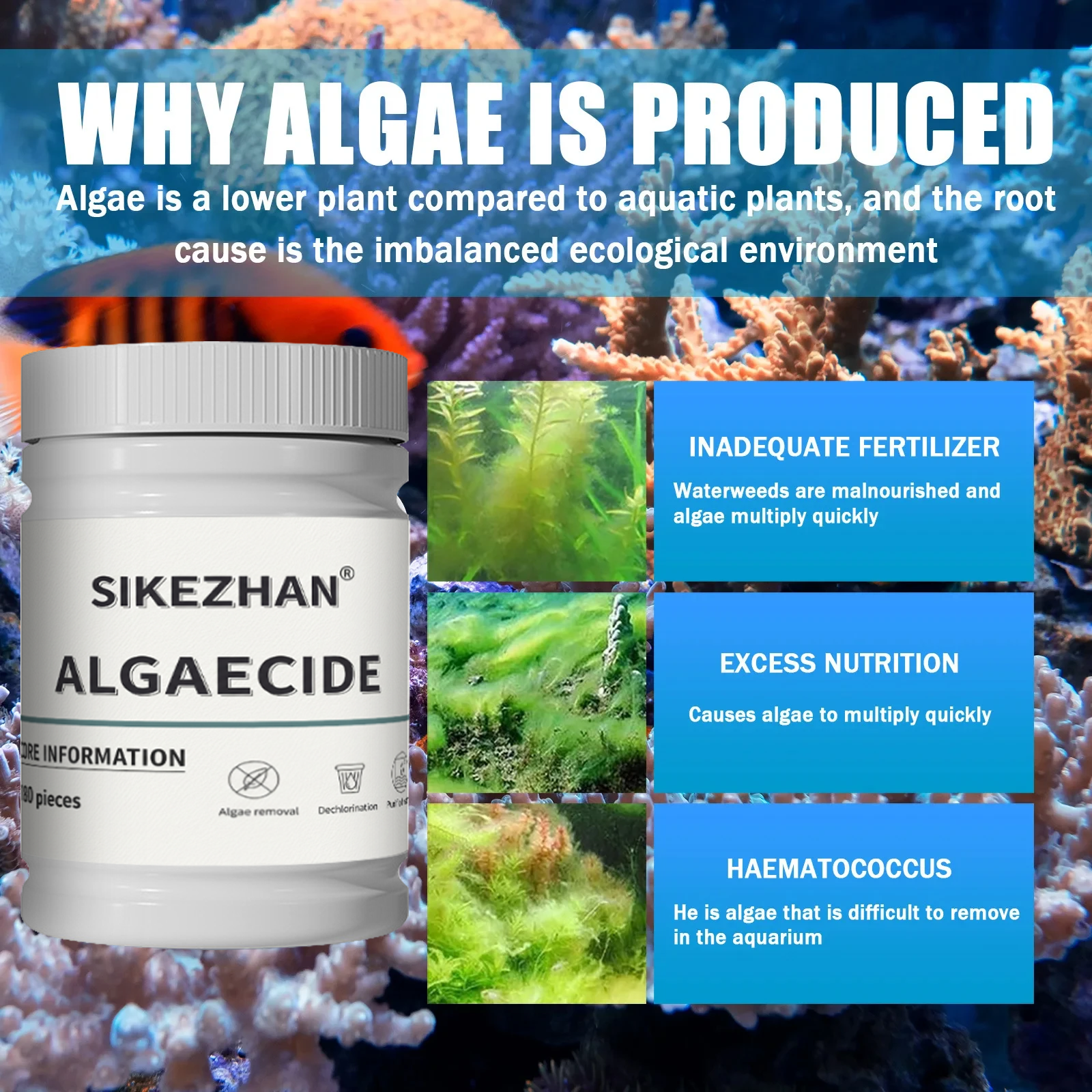 Fish Tank Algaecide Tablets，Cl - Planted Aquarium Algae Control avis et prix