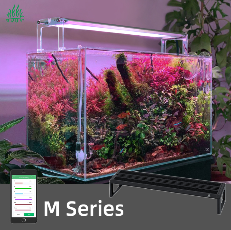 WEEK AQUA M Series 400mm Aquar - Planted Aquarium Products avis et prix