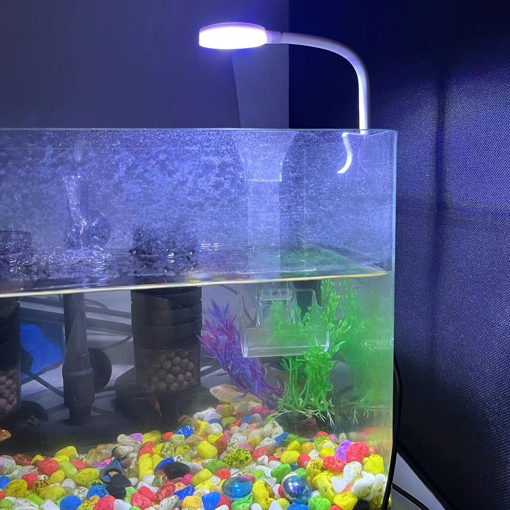8W Aquarium Light Aquatic Plan - Aquarium Plant Red avis et prix