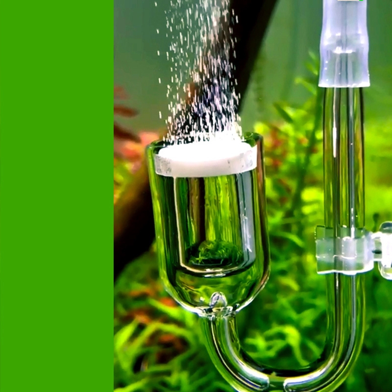 Nano CO2 Diffuser Glass Atomiz - Planted Aquarium Products avis et prix