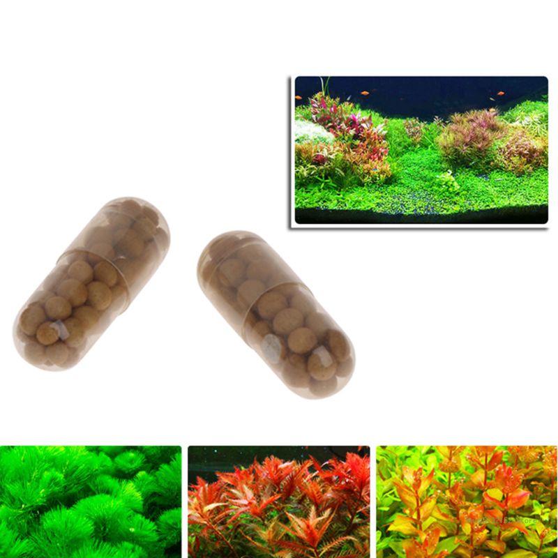 QX2E Aquarium Live Plant Ferti - Aquarium Plant Root Fertilizer avis et prix