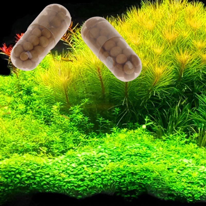 QX2E Aquarium Live Plant Ferti - Aquarium Plant Root Fertilizer avis et prix