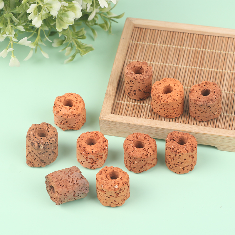 ^10Pcs Plant Ring Aquarium Fix - Planted Aquarium Products avis et prix