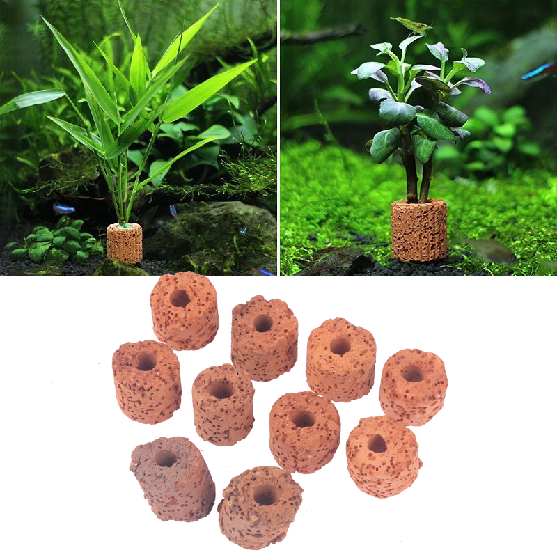 ^10Pcs Plant Ring Aquarium Fix - Planted Aquarium Products avis et prix