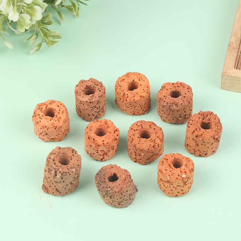 ^10Pcs Plant Ring Aquarium Fix - Planted Aquarium Products avis et prix