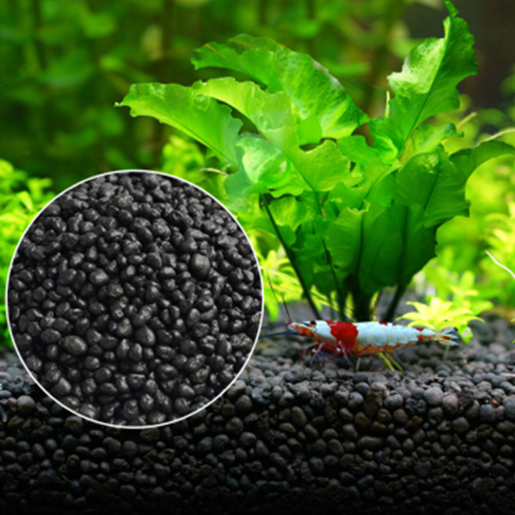 Aquarium Plant Seeds Soil Fish - Planted Aquarium With Sand avis et prix