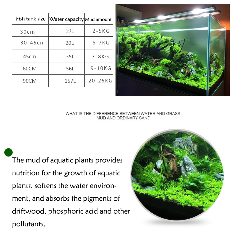 Aquarium Plant Seeds Soil Fish - Planted Aquarium With Sand avis et prix