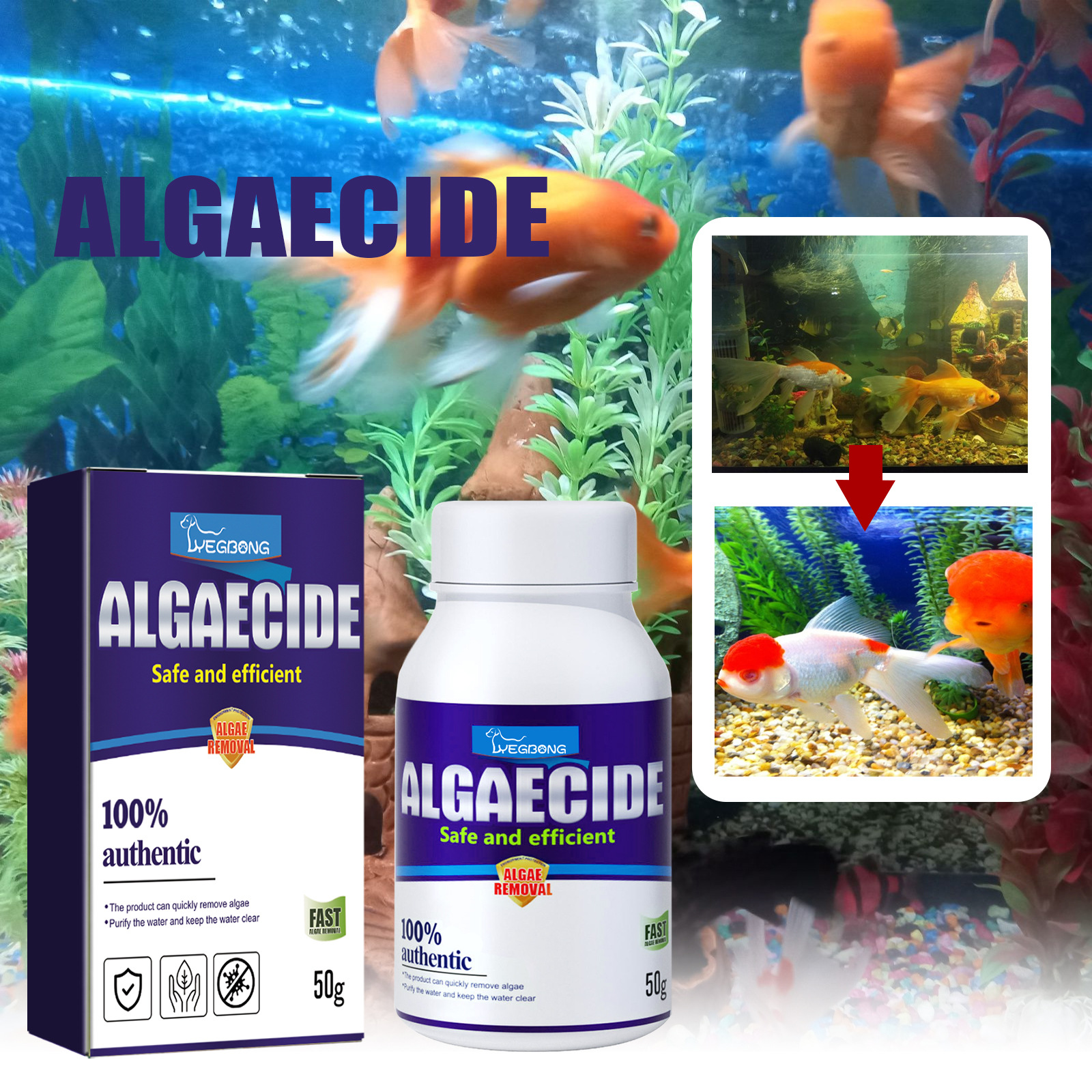 Aquarium Algae Remover High Ef - Planted Aquarium Algae Control avis et prix