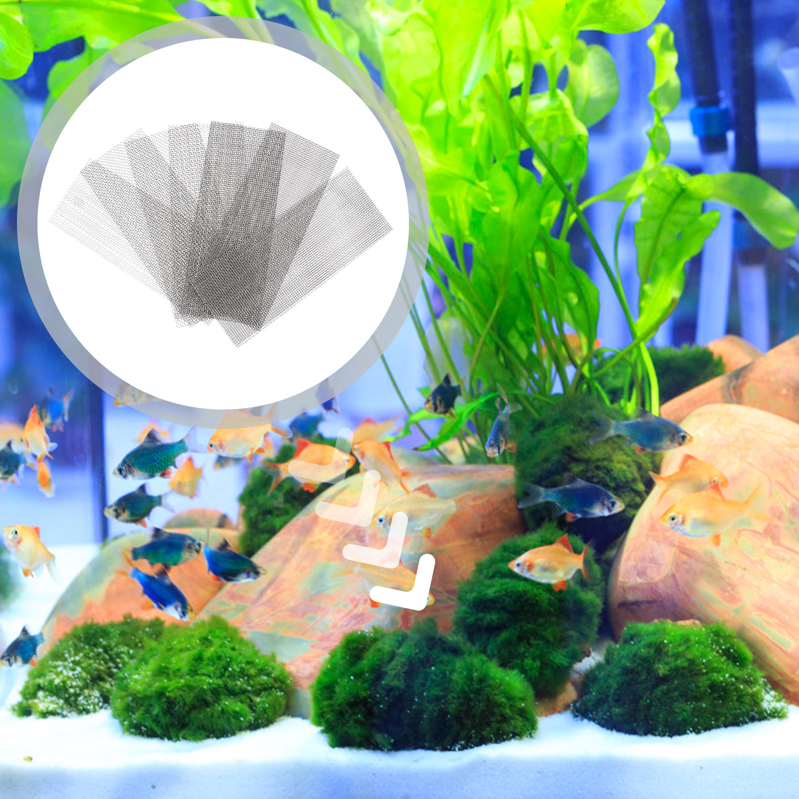 10Pcs Fish Tank Plant Mesh Sta - Non Planted Aquarium Fish avis et prix