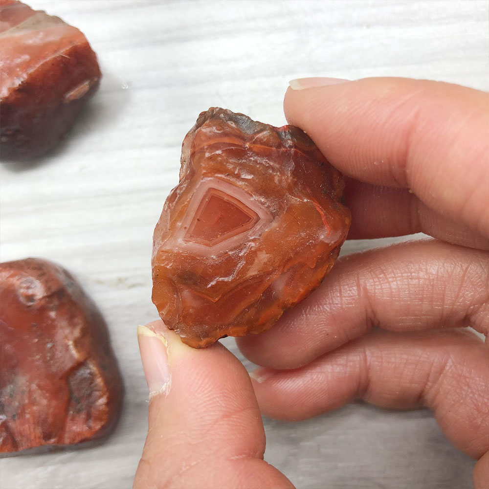 1pc Random Rough Raw Carnelian - Aquarium Plant Red avis et prix