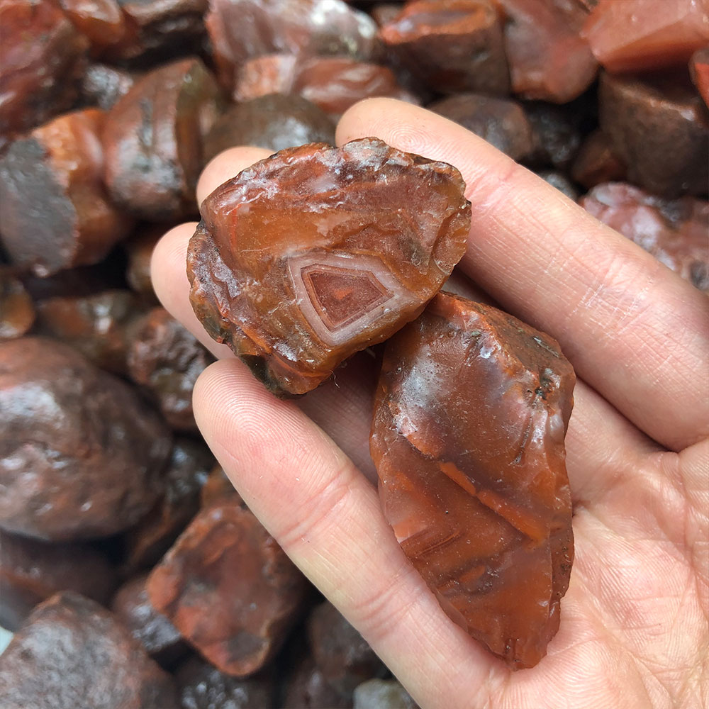 1pc Random Rough Raw Carnelian - Aquarium Plant Red avis et prix