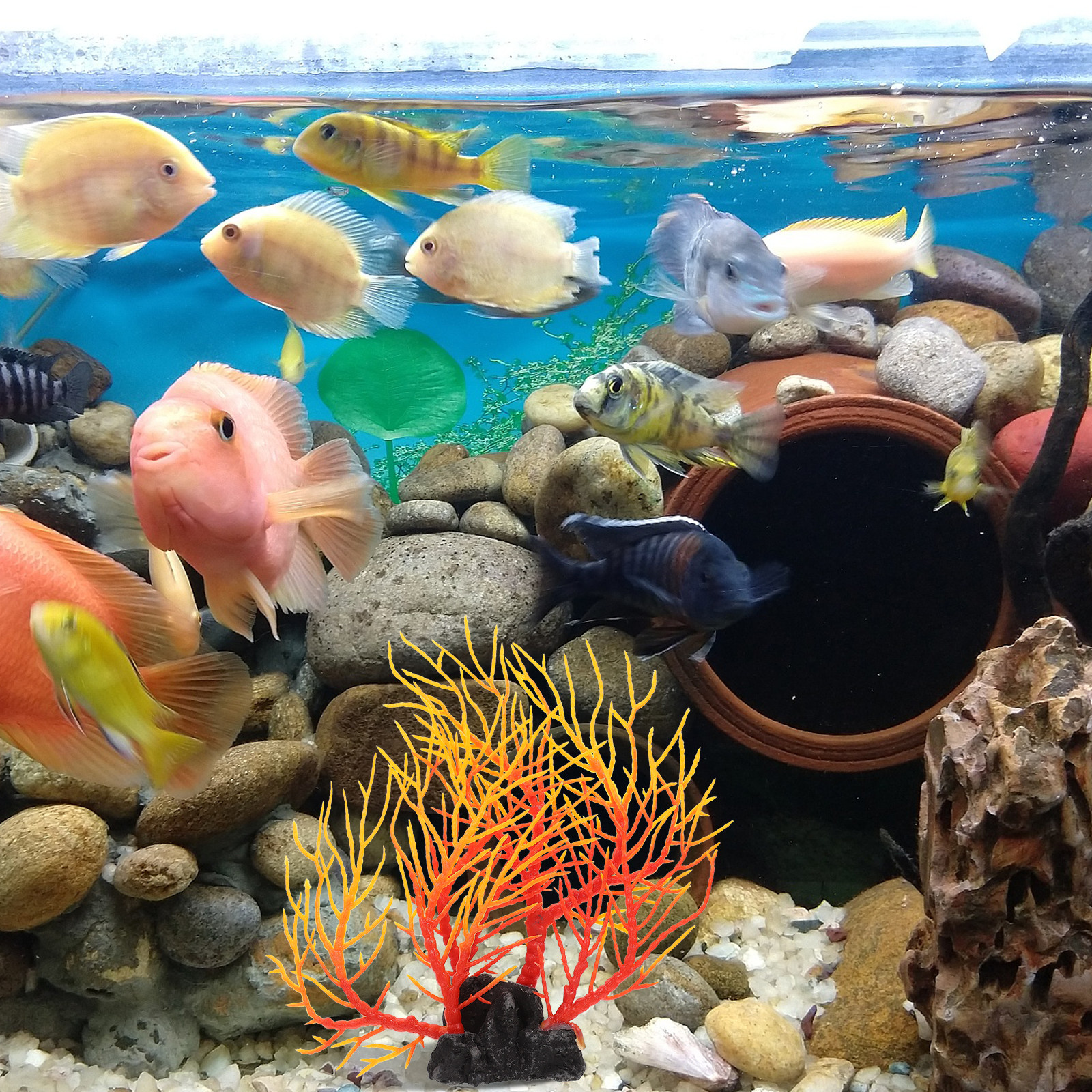 Realistic Artificial Aquarium  - Non Planted Aquarium Fish avis et prix
