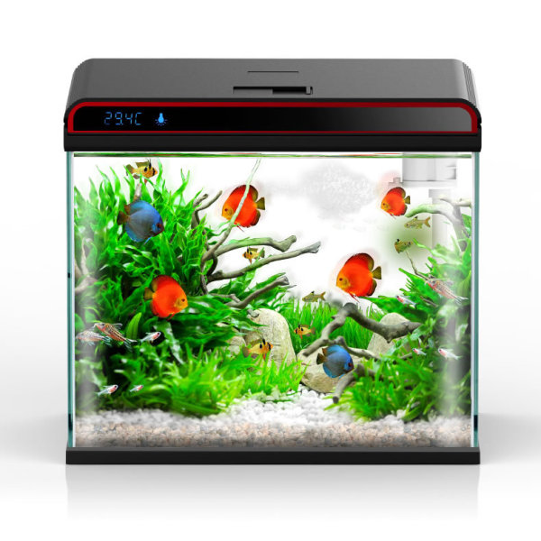 Sunsun 4-in-1 Aquarium Water C - Planted Aquarium Algae Control avis et prix
