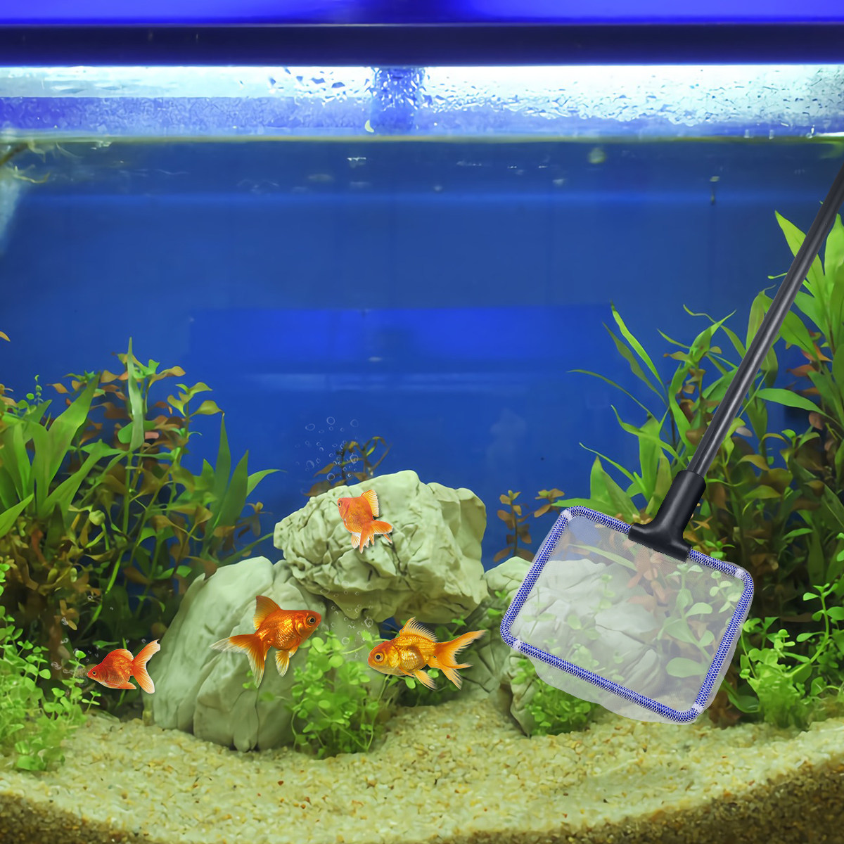 Aquarium Fish Tank Cleaning Ki - Planted Aquarium Algae avis et prix