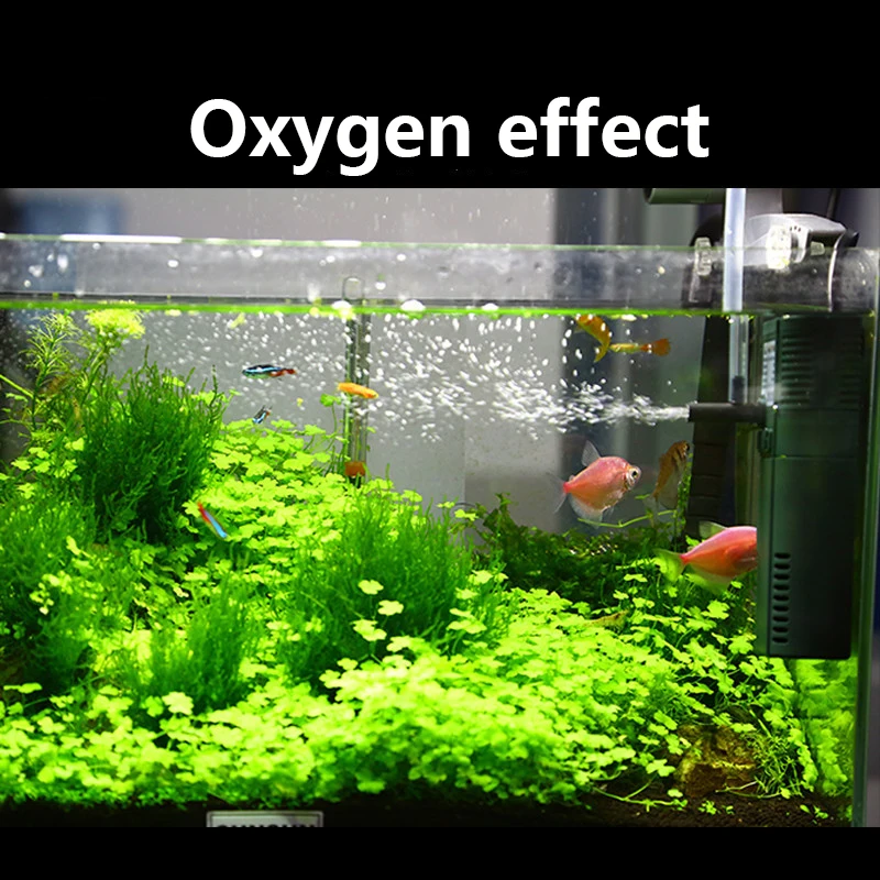 SUNSUN mini nano 111B 311B 611 - Planted Aquarium Products avis et prix