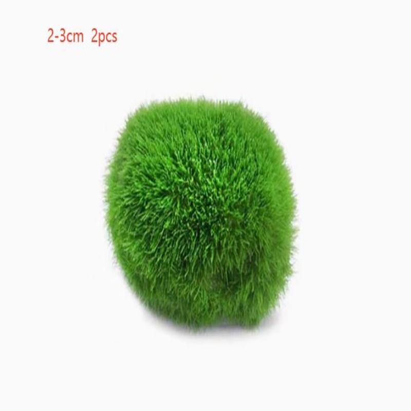 2Pcs Hydroponic Algae Balls Wa - Planted Aquarium Algae avis et prix