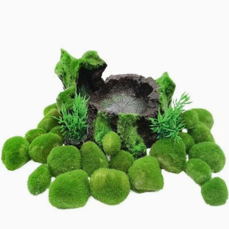 2Pcs Hydroponic Algae Balls Wa - Planted Aquarium Algae avis et prix